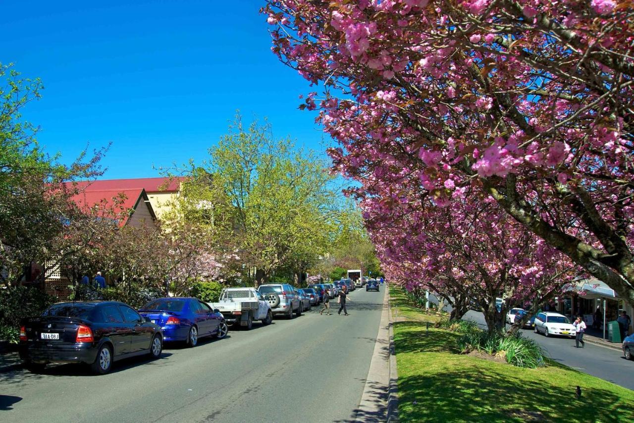 Alleura House Leura